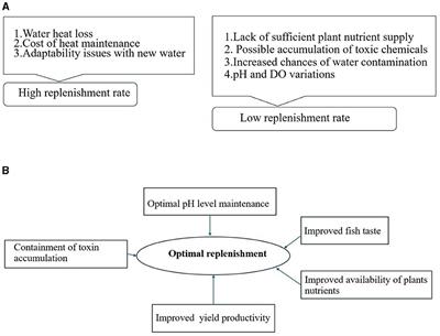 IoT and machine learning approach for the determination of optimal freshwater replenishment rate in aquaponics system